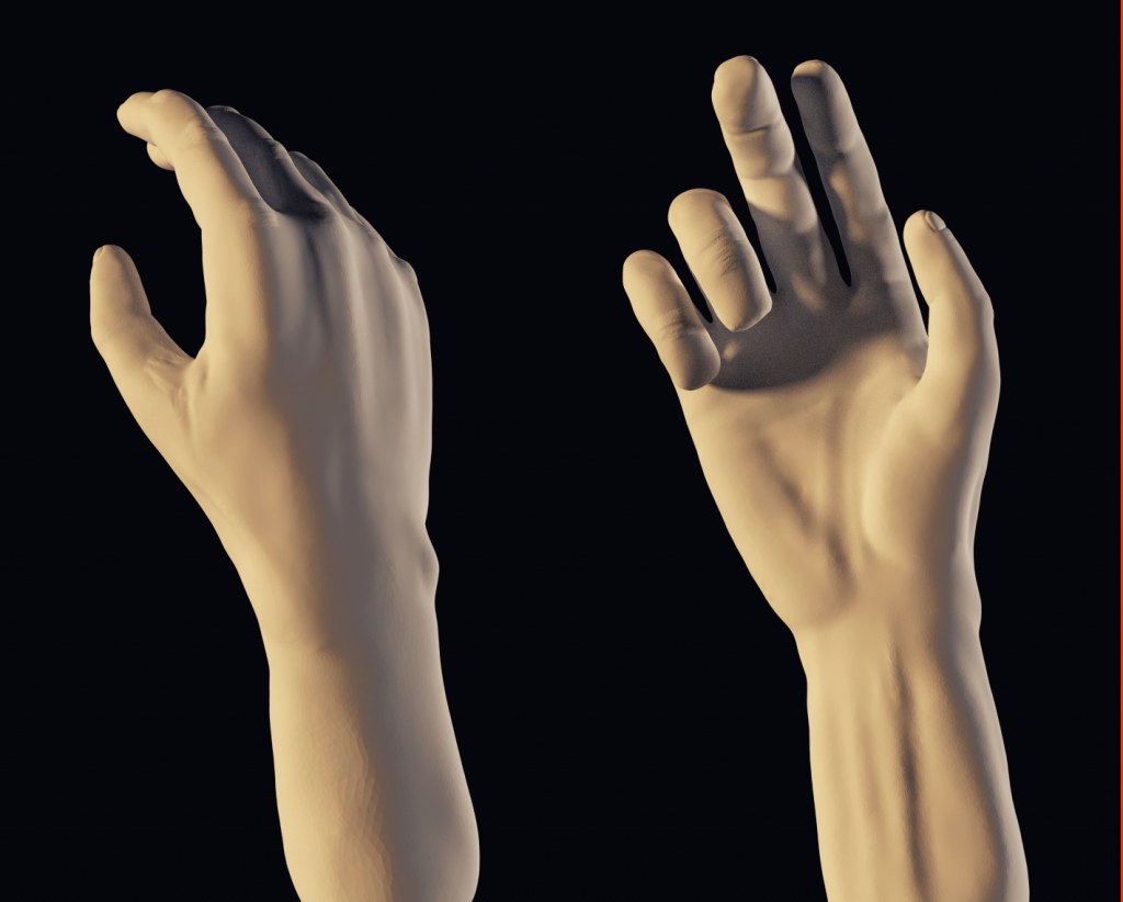 Two sculpted 3D hands, back and palm, rendered on black