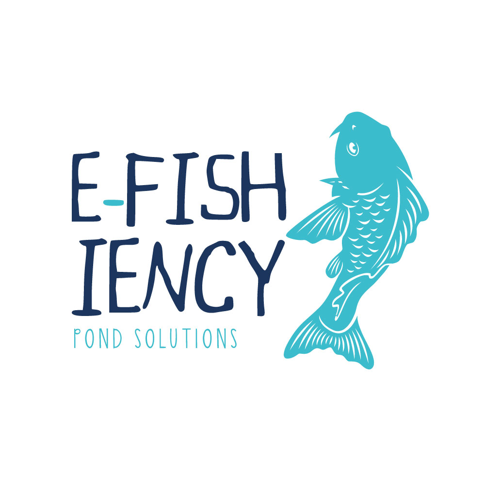 Branding for E-Fish-Iency, Cornwall
