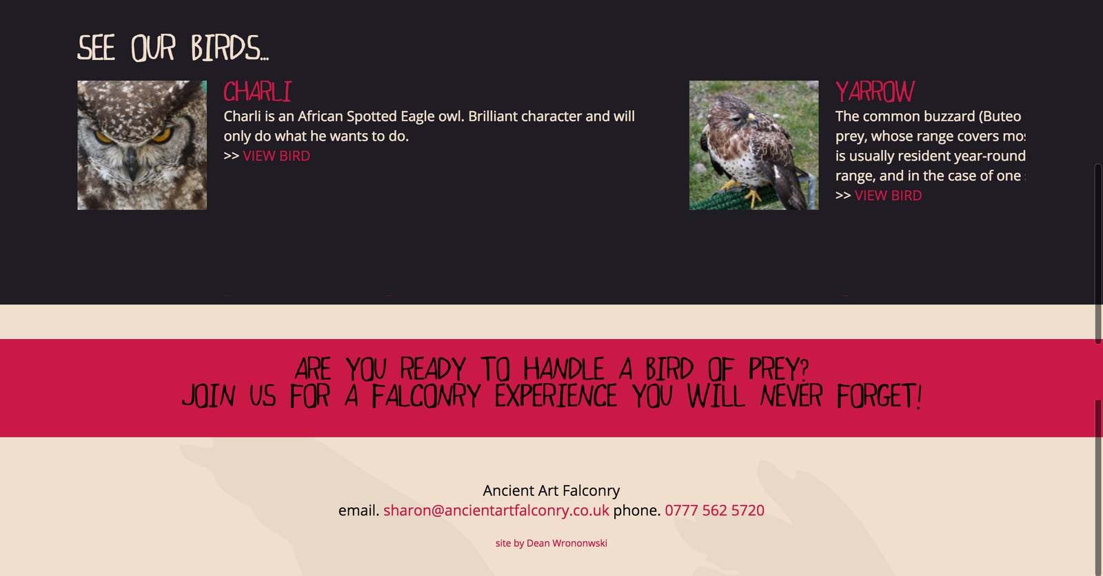 Falconry Website Design in Cornwall, part 3 of 3