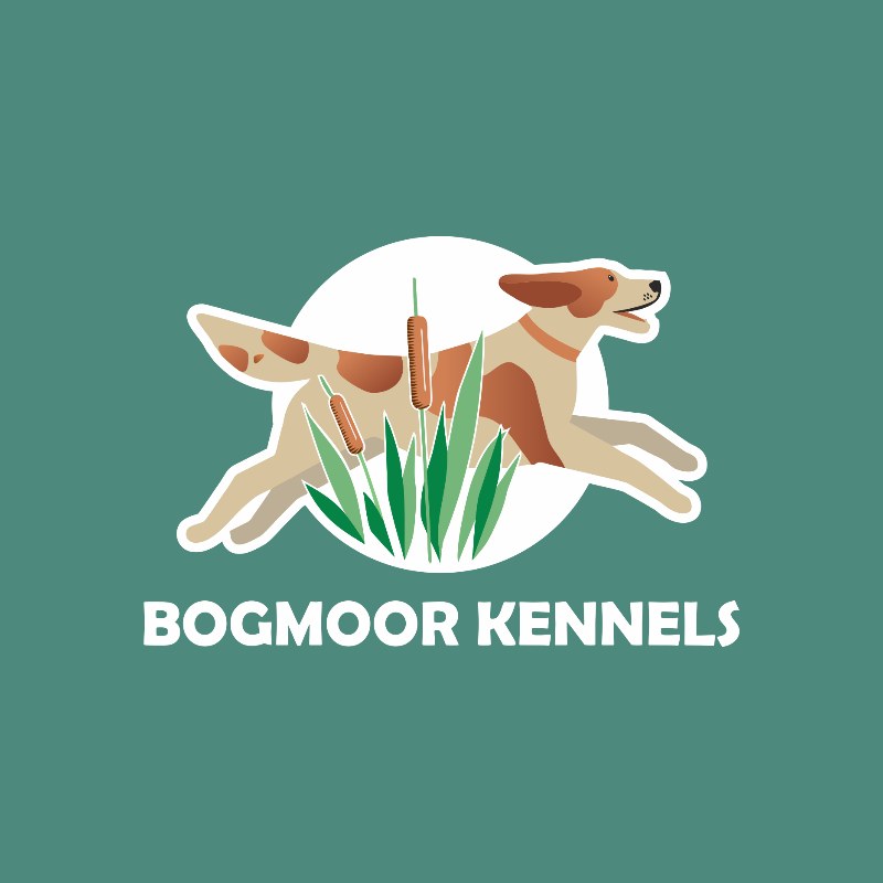 Bogmoor Kennels logo: a brown and white spaniel leaping through bulrushes on teal
