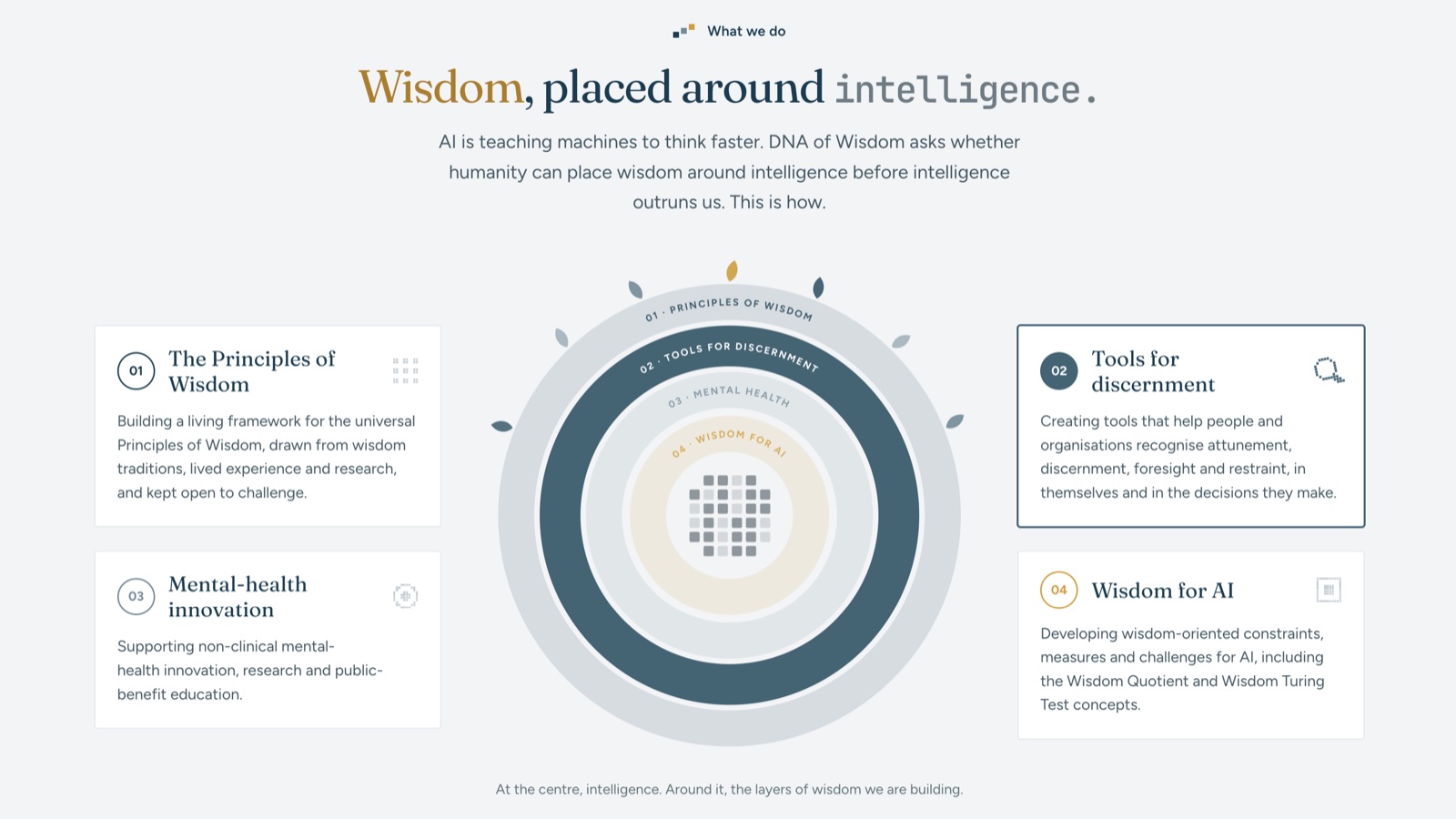 DNA of Wisdom what-we-do section: four rings of wisdom placed around intelligence, with a card for each