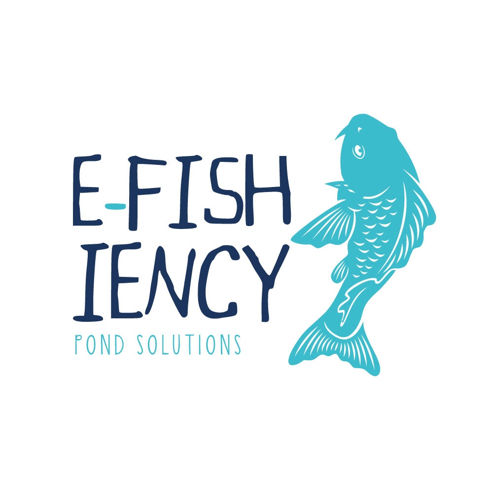 Branding for E-Fish-Iency, Cornwall